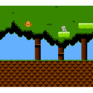 Lizard (NES)