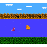 Lizard (NES)