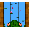 Lizard (FC)