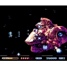 Changeable Guardian Estique (NES)