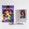 Twin Dragons (NES)