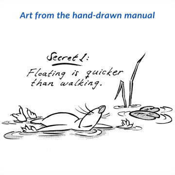 Slow Mole +
