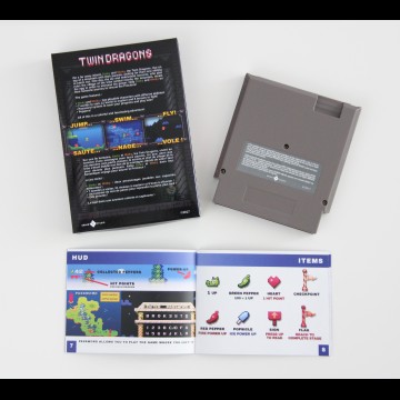 Twin Dragons (NES)