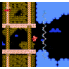 Twin Dragons (NES)